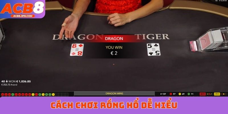 Cách chơi Rồng Hổ dễ hiểu