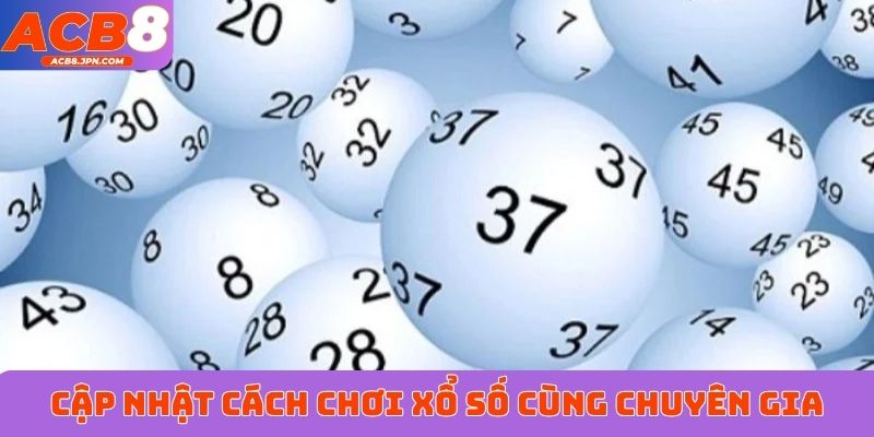 Cập nhật cách chơi xổ số cùng chuyên gia