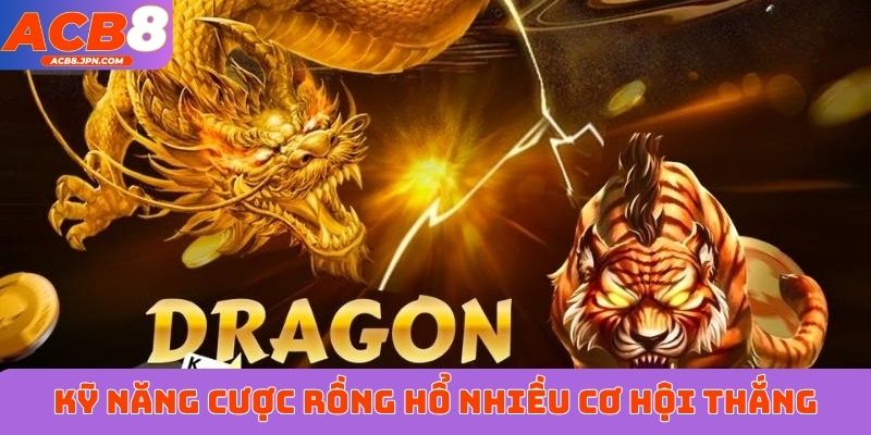 Kỹ năng xuống cược Rồng Hổ nhiều cơ hội thắng