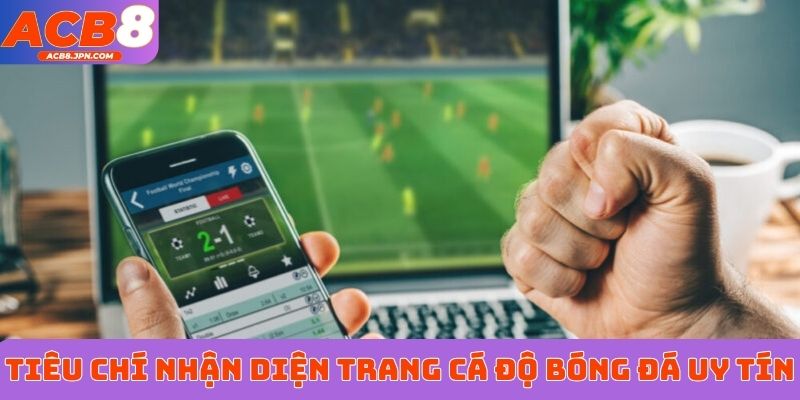 Tiêu chí nhận diện trang cá độ bóng đá uy tín