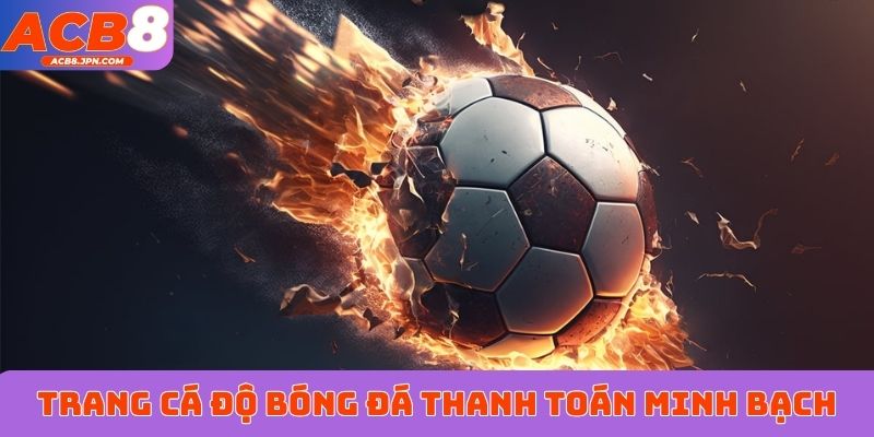 Trang cá độ bóng đá uy tín thanh toán minh bạch