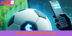 Trang cá độ bóng đá uy tín