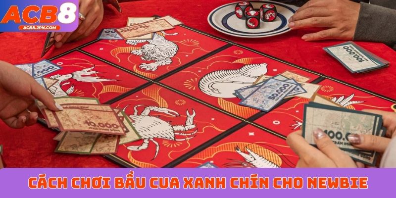 Cách chơi bầu cua xanh chín cho newbie